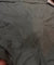 Most Premium Pure Hakuba Chikankari Cotton Fabric (Big WIDTH!!)