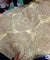 Most Premium Pure PRINTED Linen Fabric (Big WIDTH!!)