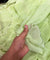 Most Premium Pure Natural CREPE FABRIC (Big WIDTH!!)