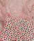 Most Premium Pure Cotton Hakuba Chikankari Fabric