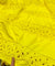 Most Premium Pure Cotton Hakuba Chikankari Fabric (Big WIDTH!!)