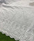 Most Premium Quality Of Chikankari Hakuba (DYEABLE)