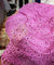 Most Premium Imported Crosia FABRIC (Big WIDTH!!)