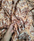 (SALE PRICES) Premium Pure Modal FABRIC DIGITAL PRINTED