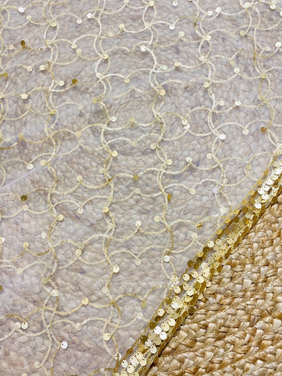 SALE Prices - Premium Organza Fine Embroidery Dupatta