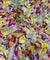 Premium Kanjivaram COSMOS Silk Fabric - DIGITAL PRINTED
